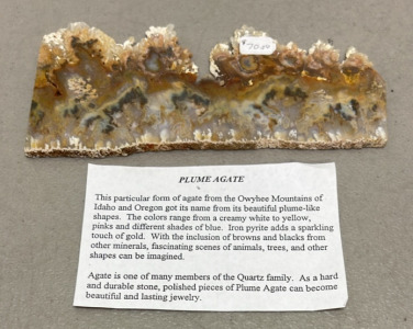 (1) Plume Agate Slab From Owyhee Mountains Of Idaho And Oregon