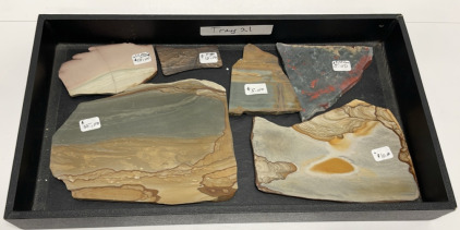 (6) Owyhee Picture Jasper, Willow Creek Jasper, Biggs Jasper Slabs For Jewelry Making Or Collecting W/ Display Box