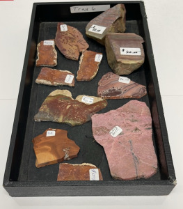 (11) Morrisonite, Bruneau, Rhodolite, Apache Junction Jaspers For Jewelry Making Or Collecting W/ Display Box