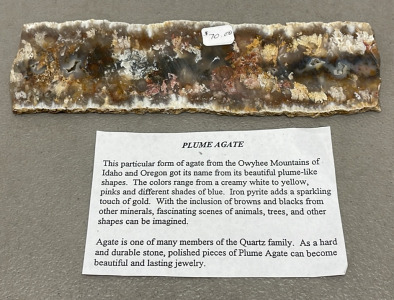 (1) Plume Agate Slab From Owyhee Mountains Of Idaho And Oregon