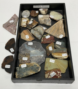 (22) Lace, Morrisonite, Misc Jaspers, Petrified Wood, Thunder Egg, Graveyard Point Plume Agate Slabs For Jewelry Making Or Collecting W/ Display Box