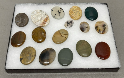 (16) Various Oval Cut And Polished Jasper, And Agate W/ Glass Cover Display Case