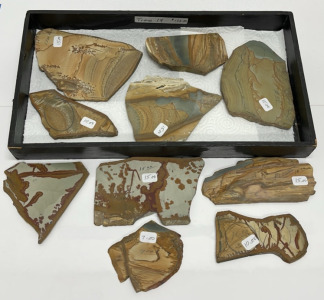 (10) Owyhee Picture Jasper Slabs - Perfect for Jewelry Making Or Collecting W/ Display Tray