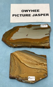 (2) Owyhee Picture Jasper Slabs