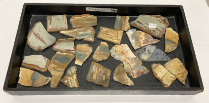 (22) Owyhee Picture Jasper, Montana Agate, Graveyard Point Plume Agate Slabs W/ Display Tray