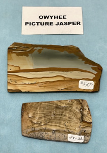 (2) Owyhee Picture Jasper Slabs