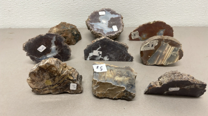 (10) Specimens Of Thunder Eggs, Geodes, Petrified Wood, Plume Agate + Others