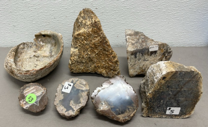 (7) Assorted Rock Specimens Great For Collectors And Abalone Shell (See Photos For Types)