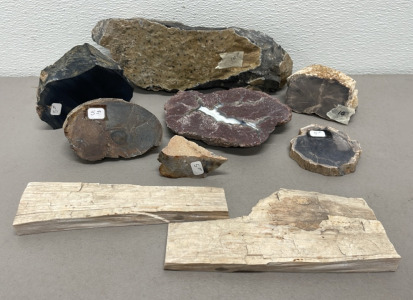 (9) Assorted Rock Specimens Great For Collectors (See Photos For Types)