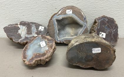 (5) Assorted Rock Specimens Great For Collectors (See Photos For Types)