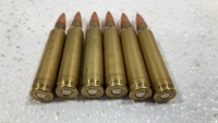 (100) Rounds .223 Remington - 2