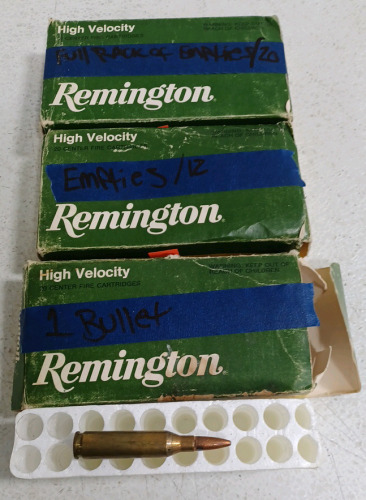 (1) Remington 243 Win. Bullet (20) Remington 243 Win. Empty Bullet Cartridges