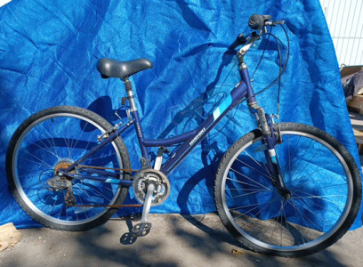 (1) Nishiki Tamarack (purple&blue) 26" Bike