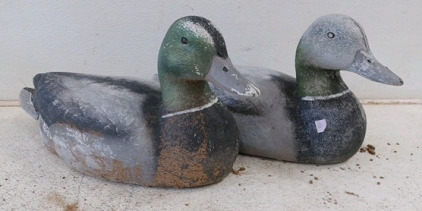 (2) Duck Decoy