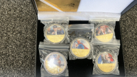 Collectible Gold Plated Trump 2024 Electoral Coin Set - 2
