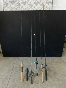 (6) Fishing Poles