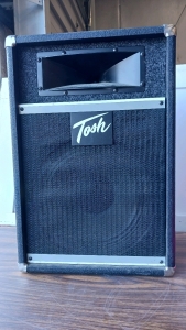 Tosh TE 12H 80 Watt Passive Speaker