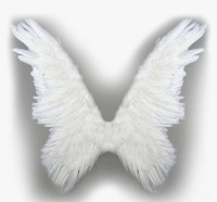 XA18-Large- White Feather Wings (2) - 2