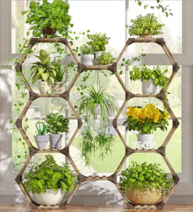 Plant Stand 10 Teirs