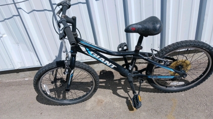 20" Giant Kids Bicycle (Black)