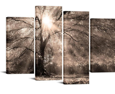 LevvArts 4 Piece Big Tree Sunshine Wall Art Canvas Nature Forest Landscape Picture Painting Vintage Sepia Photo Prints Artwork for Home Living Room Office Decor