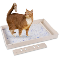 (1) Cat tray w/ litter (3) Dog print frames - 16