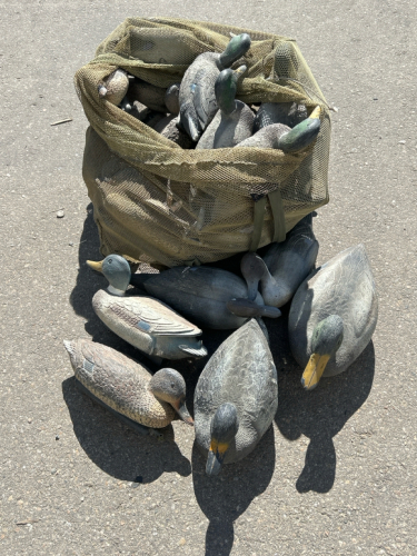 Bag Full Of Duck Decoys