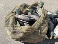 Bag Full Of Duck Decoys - 2