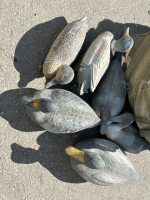 Bag Full Of Duck Decoys - 3