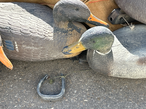 Canvas Style Bag with Duck Decoys