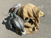 Canvas Style Bag with Duck Decoys - 2