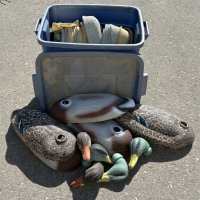 Tub With Foam Duck Decoys