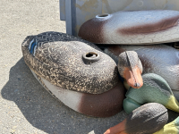 Tub With Foam Duck Decoys - 2