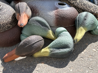 Tub With Foam Duck Decoys - 4