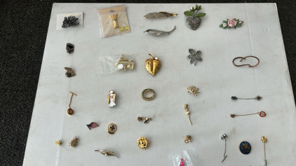 Assorted Antique Pins