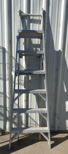 Silver Werner Ladder