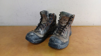 Danner Boots Size 9.5