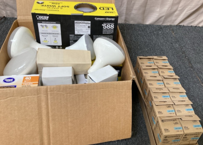 VARIETY OF LIGHTBULBS.