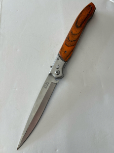 Stainless Steel Folding Knife