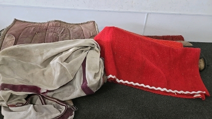 (1) Set of 9 or 10 Horse Blankets