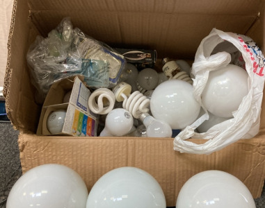 VARIETY OF LIGHTBULBS.