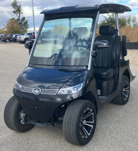 2022 EVOLUTION GOLF CART