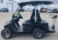 2022 EVOLUTION GOLF CART - 3