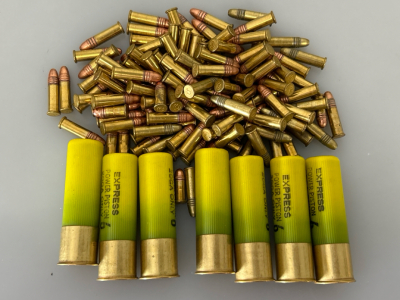 Mixed Ammo: 20 Ga. And CCI .22 Caliber