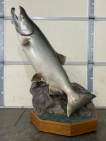 46" King Salmon On Rolling Stand - 6