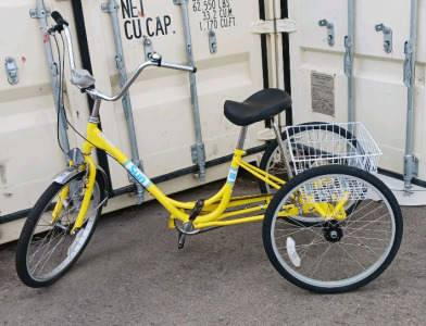 24in Sun (Yellow) Trike