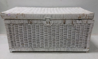 Wicker Trunk, Suit Case, VacuumPowers kn and Sucks - 3