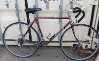 26in WildWood Diamond Back Woman's Bike (Blue) 28in Raleigh Mens Bike (maroon) Parts needed, view photos for items - 5