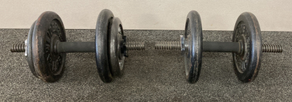 (2) Weights