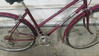 26" Free Spirit Brittany Maroon Bike - 5